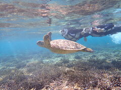 ܂Ⴓnico {Óւ̓eʐ^1