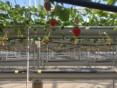 ݂̎RFUJIt[cp[Nւ̓eʐ^1