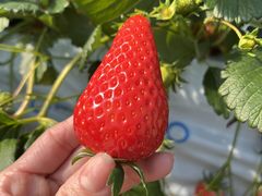 ς̕όAOXl΂ւ̓eʐ^1