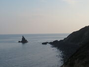 �L������̍����@�̓��e�ʐ^3