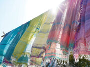 ܂tamaki niime̓eʐ^2