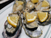 �n������̐畟�̓��e�ʐ^1