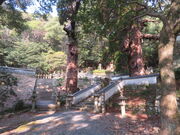 �L������̖����@�̑吙�̓��e�ʐ^3