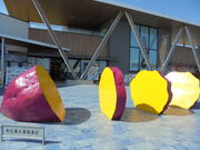 񂳂̓̉w邭 ȂƂ̓eʐ^1