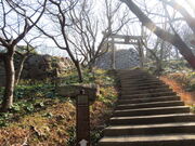 �L������̏�R�����̓��e�ʐ^2