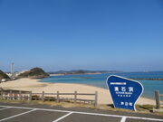 �L������̐��Εl�C������̓��e�ʐ^1