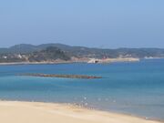 �L������̐��Εl�C������̓��e�ʐ^2