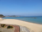 �L������̐��Εl�C������̓��e�ʐ^3