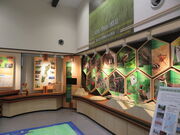 �L������̊ό����قӂꂠ�������܂̓��e�ʐ^1