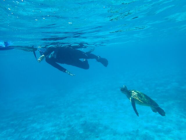 亀さんとの出会い!_imtida宮古島