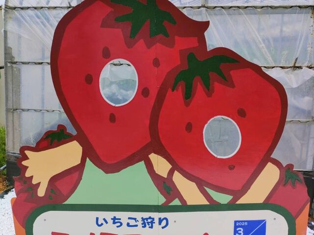 �߂����������o���p�l���ł��I
_�~�m�~�t�@�[��