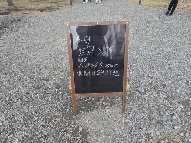 �������� ��������̗�