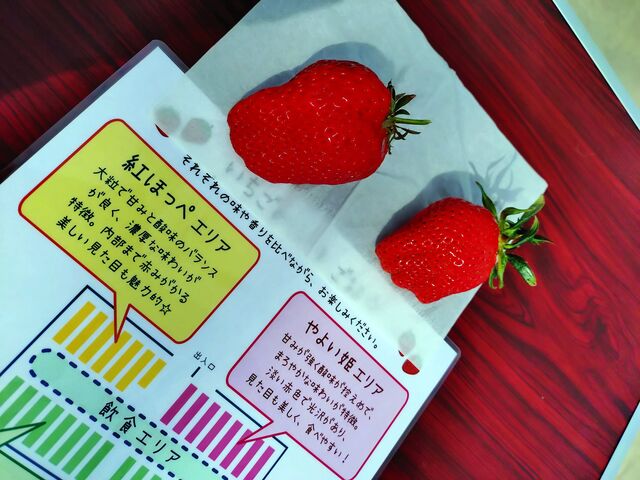 3����{��2��ނ̐H�ה�ׂł���_䕉� �݂̂���