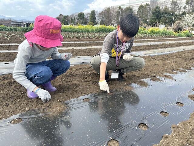 �Ƃ����낱���̎�܂�_�����n���_��