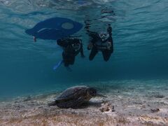 Ⴖ񂳂nico {Óւ̓eʐ^1