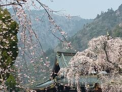 身延山久遠寺の写真一覧 - じゃらんnet