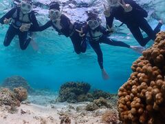 ܂݂̋{blue܂ق΂ւ̓eʐ^1