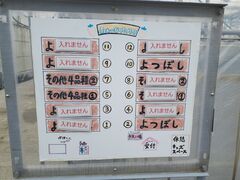 A˂̂񂢂t@[ւ̓eʐ^1