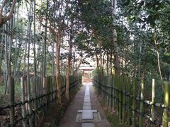 �T�N���T�N����̉}�����ւ̓��e�ʐ^1