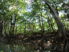 イ̐Ί_ ADVENTURE PiPiւ̓eʐ^1