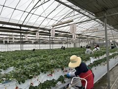 }UL̃zeBL˂ւ̓eʐ^1