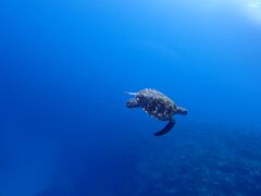 񂳂̐Ί_ ADVENTURE PiPiւ̓eʐ^1