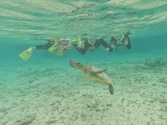 ryonico {Óւ̓eʐ^1