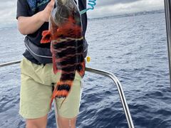 T[tTChT[rX@nCTC̎ʐ^1