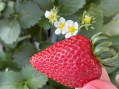 �ȂȂ���̒��c���������ւ̓��e�ʐ^1