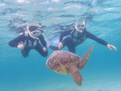 Ȃ݂nico {Óւ̓eʐ^1