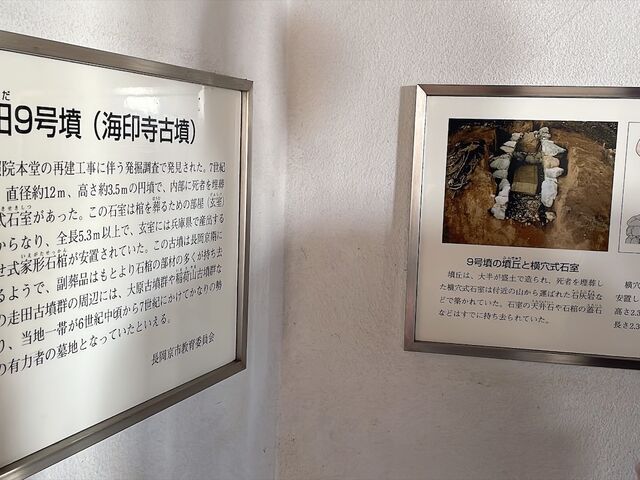 ������_���c9����