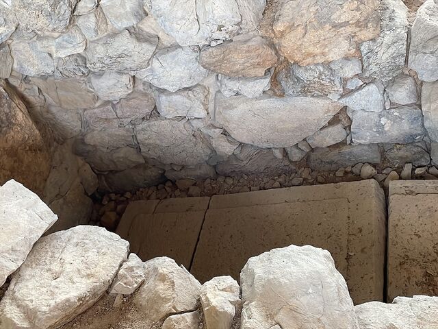 �Ύ�_���c9����