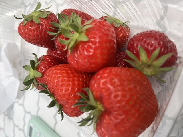 �R������܂���_�祂Ղ�`��