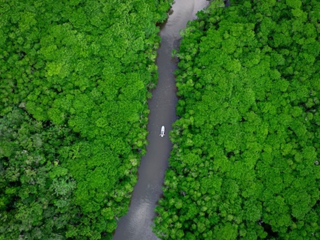 �}���O���[�u�ł̃h���[�����s��I_�Ί_���A�N�e�B�r�e�B�N���u