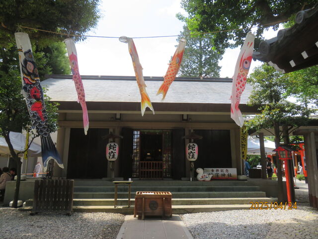 �֌E�_��_�֌E�_��