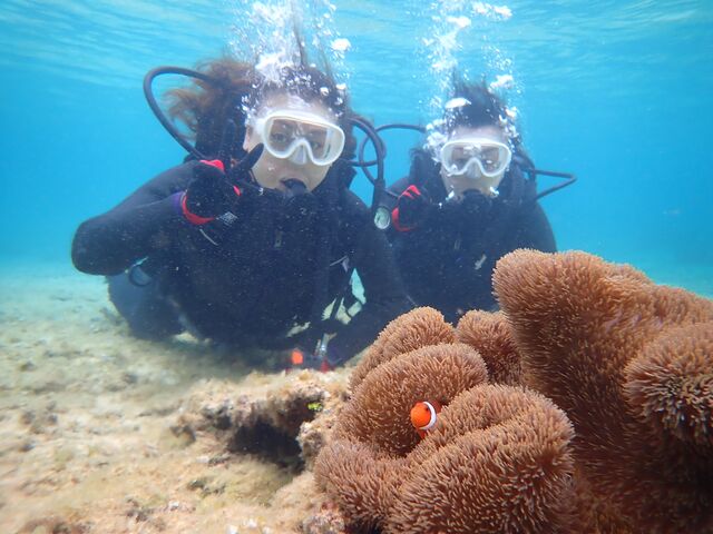 目の前に可愛いお魚が_marine assist DEMI