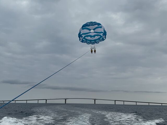 �󂩂猩��i�F���ō��ł���_�{�Ó��p���Z�[�����O all good marine 385