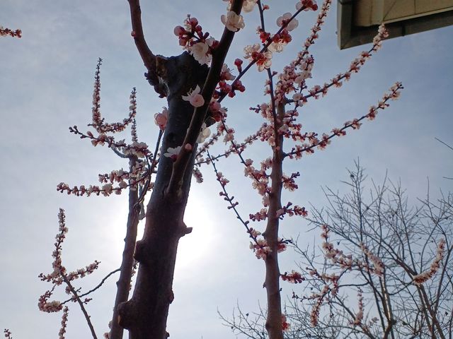 60̃Xm[{[h񂳂̂񂸂̗̂񂸃VbviYj̓eʐ^6