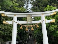 ���̂���̒��Ґ삭����ւ̓��e�ʐ^1