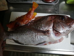 ΂̗dWith]Oceanւ̓eʐ^1