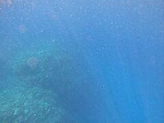 V|̐Ί_ ADVENTURE PiPiւ̓eʐ^2