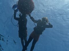 ݂̐Ί_ ADVENTURE PiPiւ̓eʐ^1