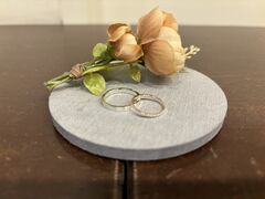 ͂邳̃AJlXւ̓eʐ^1