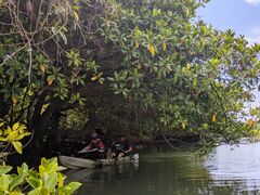 񂳂OHCUSΊ_ւ̓eʐ^1