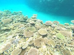 Ƃ̐Ί_ ADVENTURE PiPiւ̓eʐ^1