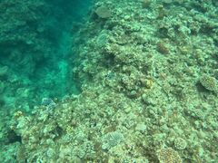 ̐Ί_ ADVENTURE PiPiւ̓eʐ^1