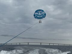 Ƃ݂̋{ÓpZ[O all good marine 385ւ̓eʐ^1