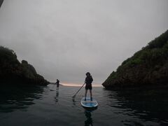 P̃I[X[Vm[P{Óւ̓eʐ^1