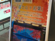 EbL[̃BtHe[kOhHc`̓eʐ^1