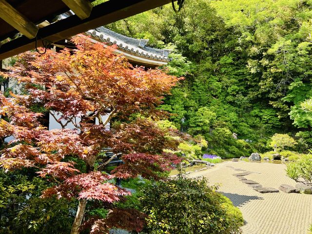 ���Ҏ��뉀
(�{�V���������ɂ���܂��B����������ł�)_���Ҏ��뉀